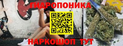 прущий лед Сланцы